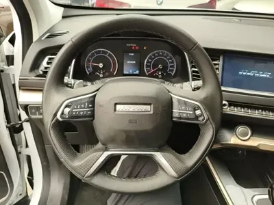 Haval H6 2020, 74300 км, за 46400 CNY - фото 11