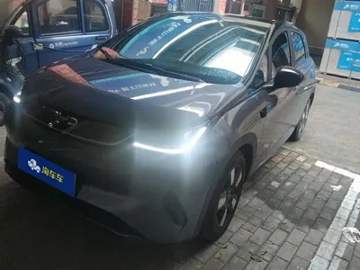 BYD Dolphin 2025, 24900 км, за 78000 CNY - фото 1