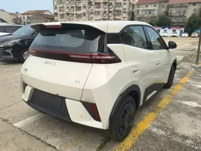 BYD Seagull 2026, 100 км, за 59200 CNY - фото 7