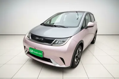 BYD Dolphin · 2021 год