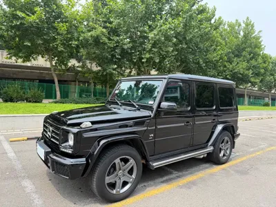 Mercedes-Benz G-Class · 2016 год