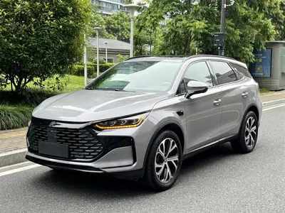 BYD Tang New Energy · 2025 год