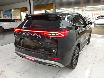 Haval H6 2024, 21600 км, за 69200 CNY - фото 7