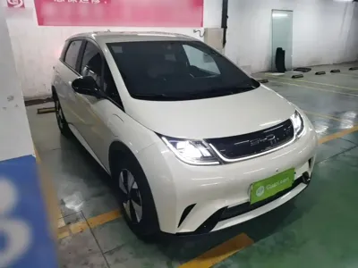 BYD Dolphin 2024, 54400 км, за 63300 CNY