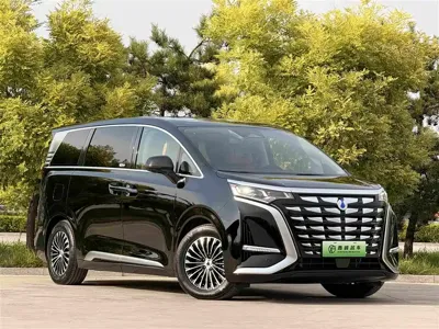 Denza Denza D9 2024, 27000 км, за 249800 CNY