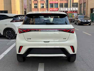 BYD Dolphin 2026, 500 км, за 71800 CNY - фото 11