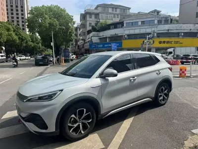 BYD Yuan Plus · 2024 год