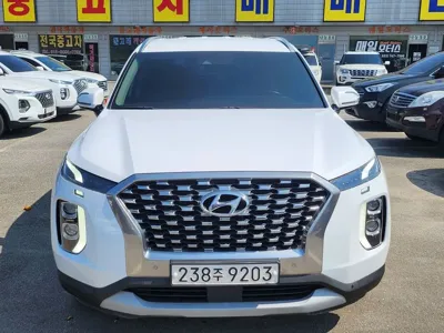 Hyundai Palisade · 2019 год