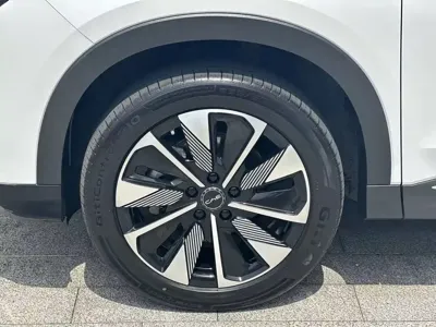 BYD PLUS New Energy 2024, 44000 км, за 93800 CNY - фото 16