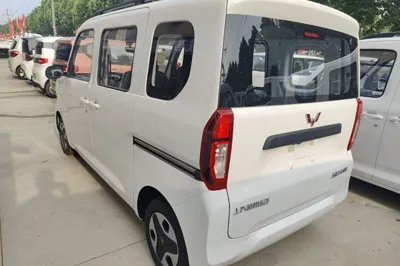 Wuling Zhiguang New Energy 2025, 100 км, за 62031.47 CNY