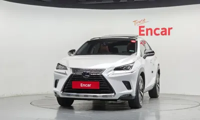 Lexus NX 2019, 39301 км, за 35000000 KRW