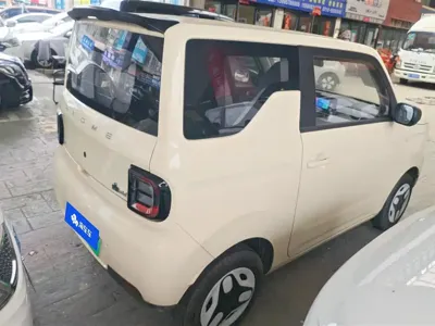 Galaxy Panda 2026, 100 км, за 37000 CNY