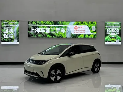 BYD Dolphin · 2023 год