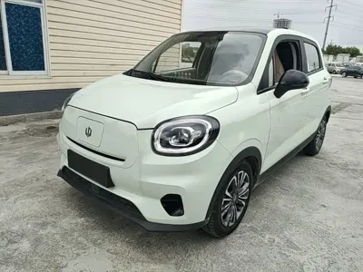 Leapmotor Leapmotor T03 · 2024 год