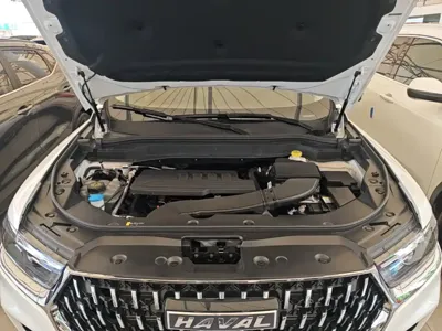 Haval H6 2024, 22900 км, за 74600 CNY - фото 20