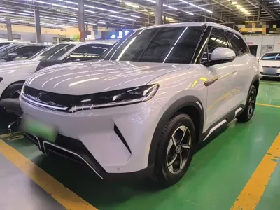 BYD Yuan Up · 2024 год