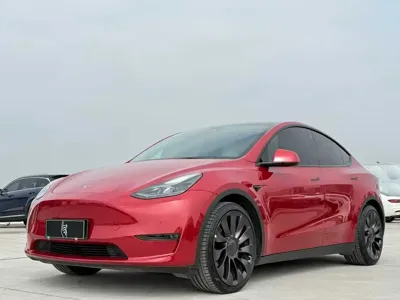 Tesla Model Y · 2023 год