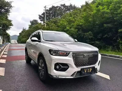 Haval H6 2021, 80000 км, за 46800 CNY