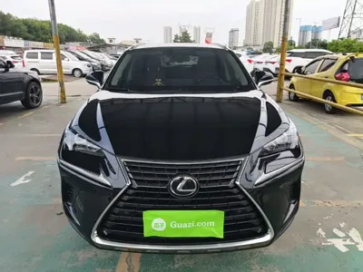 Lexus NX 2019, 69900 км, за 110900 CNY
