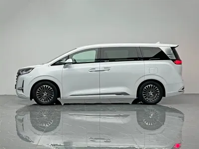 Denza Denza D9 2024, 35000 км, за 205799 CNY