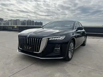 Hongqi Hongqi H5 · 2023 год