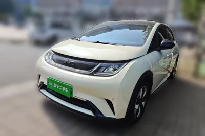 BYD Dolphin · 2024 год
