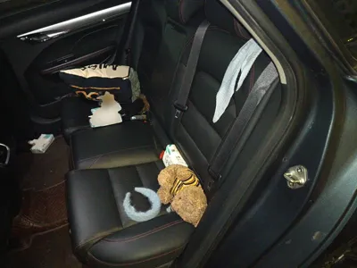 Geely Auto Binray 2019, 87000 км, за 33989.85 CNY - фото 18