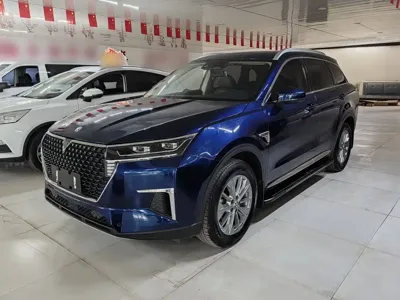 Venucia Star · 2021 год