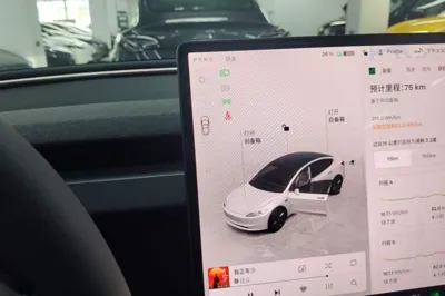 Tesla Model 3 2025, 100 км, за 249363.11 CNY - фото 21