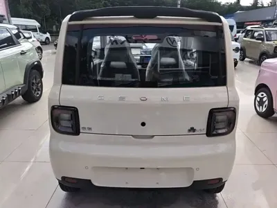 Galaxy Panda 2026, 100 км, за 37000 CNY - фото 6
