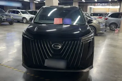 GAC Trumpchi M8 2024, 109000 км, за 177375.32 CNY