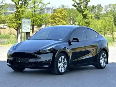 Tesla Model Y · 2022 год