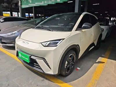 BYD Seagull · 2023 год