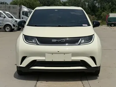 BYD Dolphin 2023, 25000 км, за 58800 CNY
