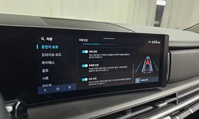 Hyundai Santafe 2024, 39526 км, за 28900000 KRW - фото 31