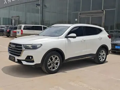 Haval H6 · 2023 год