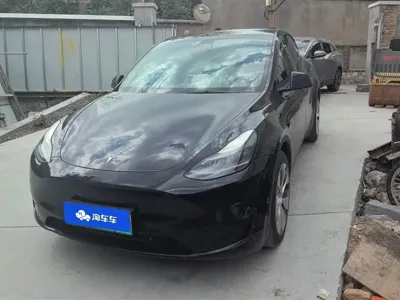Tesla Model Y · 2023 год
