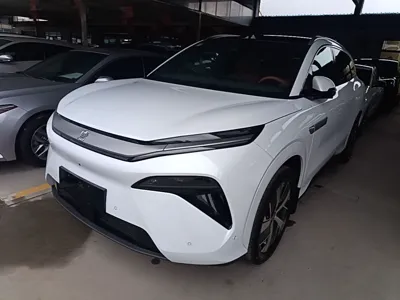 BYD Tang L · 2025 год