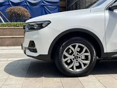 Haval H6 2022, 46100 км, за 57699 CNY - фото 23