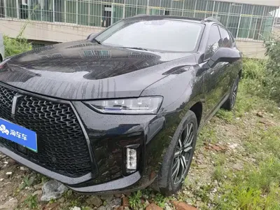WEY Wey P8 · 2019 год