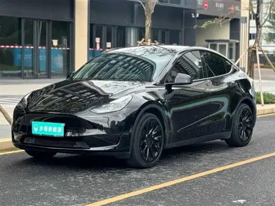 Tesla Model Y · 2022 год