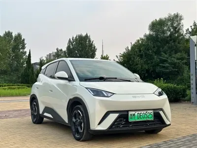 BYD Seagull 2024, 30000 км, за 46000 CNY - фото 3