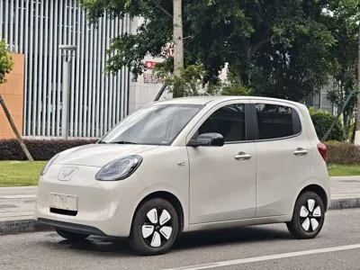 Wuling MINIEV · 2025 год