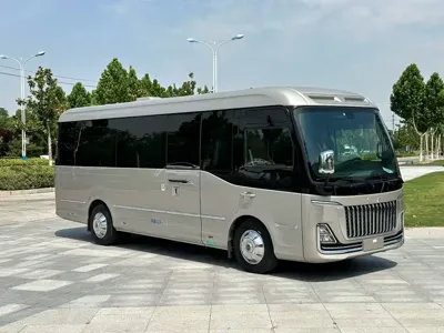 Hongqi 红旗金葵花国悦 2025, 14000 км, за 699000 CNY