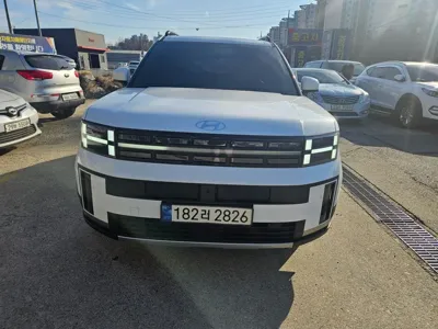 Hyundai Santafe · 2024 год