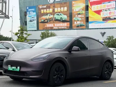 Tesla Model Y · 2023 год