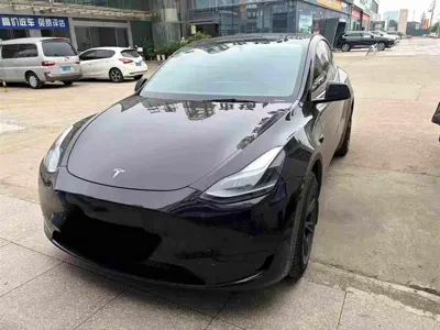 Tesla Model Y · 2023 год