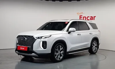 Hyundai Palisade · 2019 год