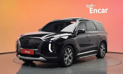 Hyundai Palisade · 2019 год