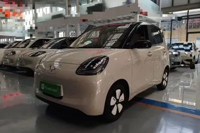 Wuling Hongguang MINIEV · 2025 год